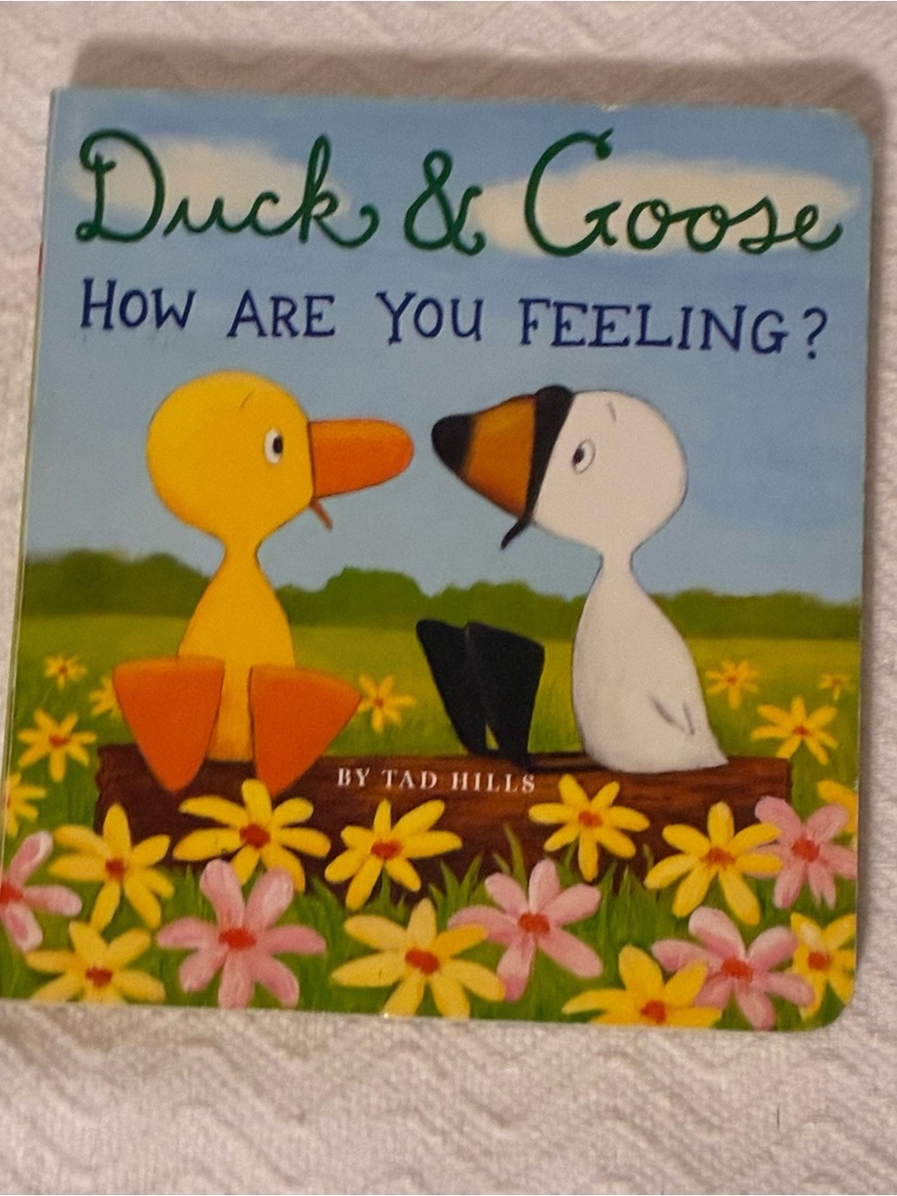 Duck & Goose How Are You Feeling? Board Book